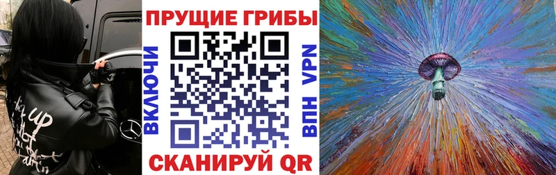 купить   Калач  Галлюциногенные грибы Cubensis 